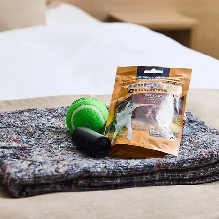 Western 4* אודנזה